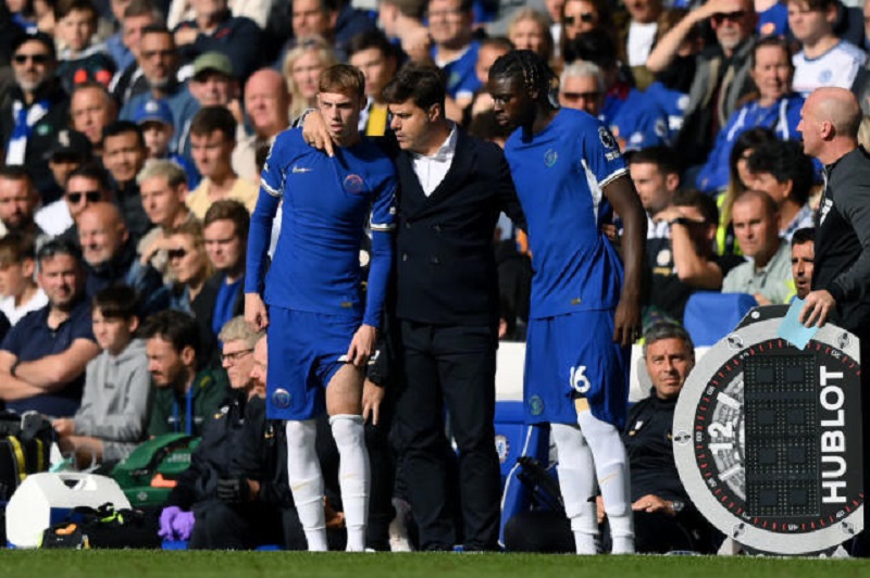 pochettino-palmer